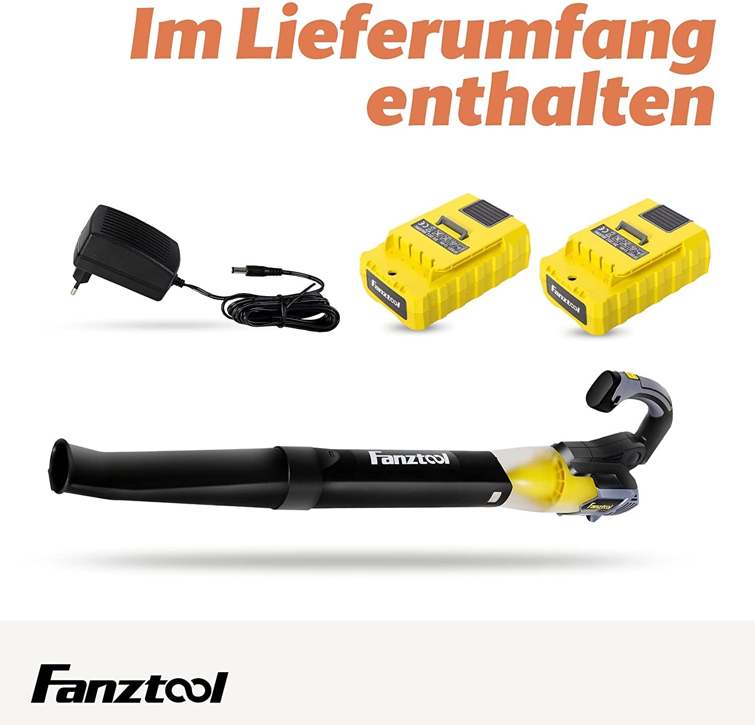 Axial Laubbläser mit 20V Akku und Ladegerät (Akku Laubbläser) - Fanztool