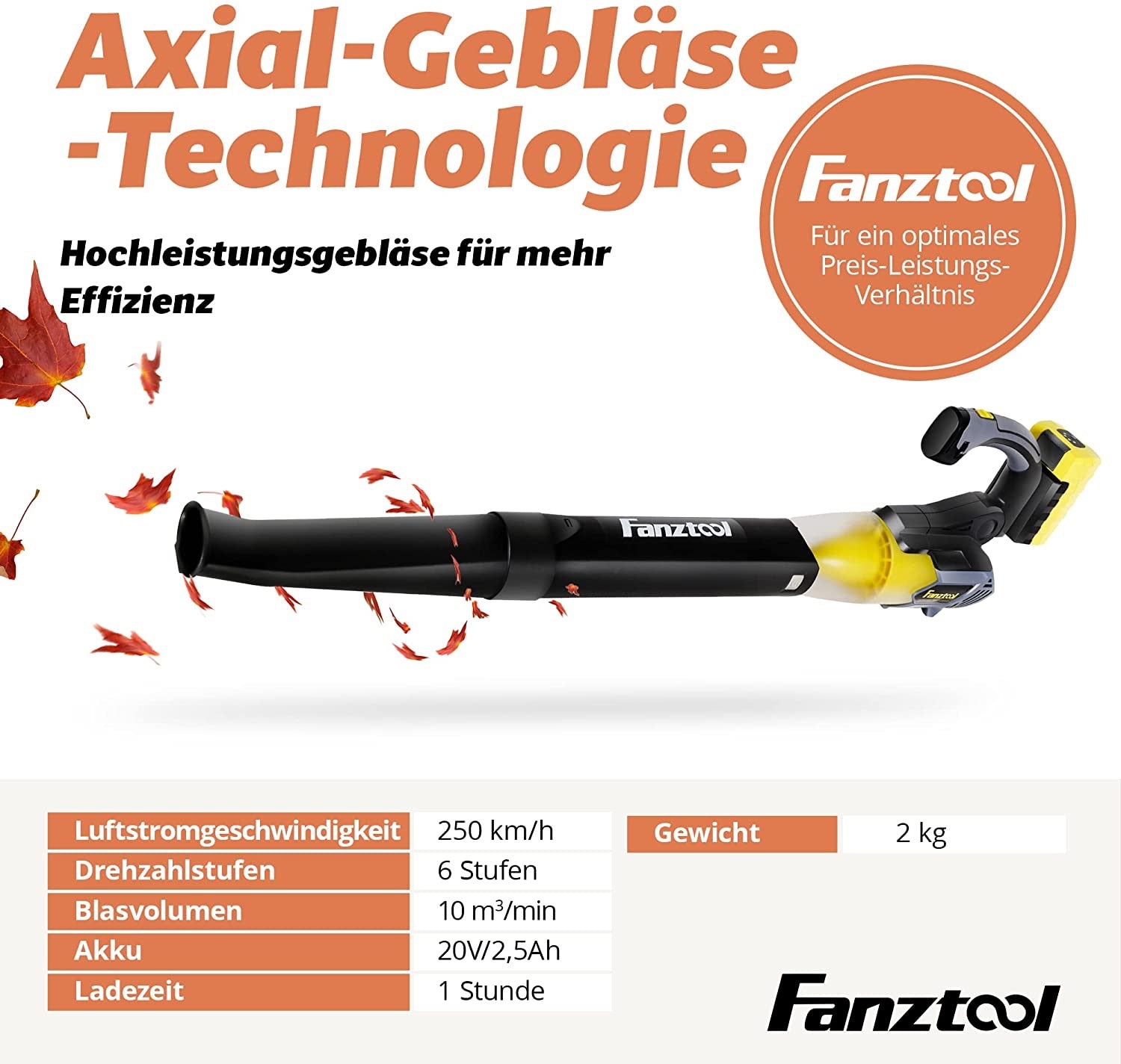 Axial Laubbläser mit 20V Akku und Ladegerät (Akku Laubbläser) - Fanztool