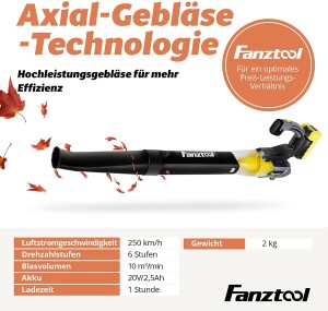 Gebraucht - FANZTOOL Axial Laubbläser mit 20V Akku und Ladegerät (Akku Laubbläser)